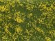 Groundcover Foliage meadow yellow, All Scales, NOCH 07255