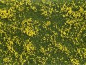 Groundcover Foliage meadow yellow, All Scales, NOCH 07255