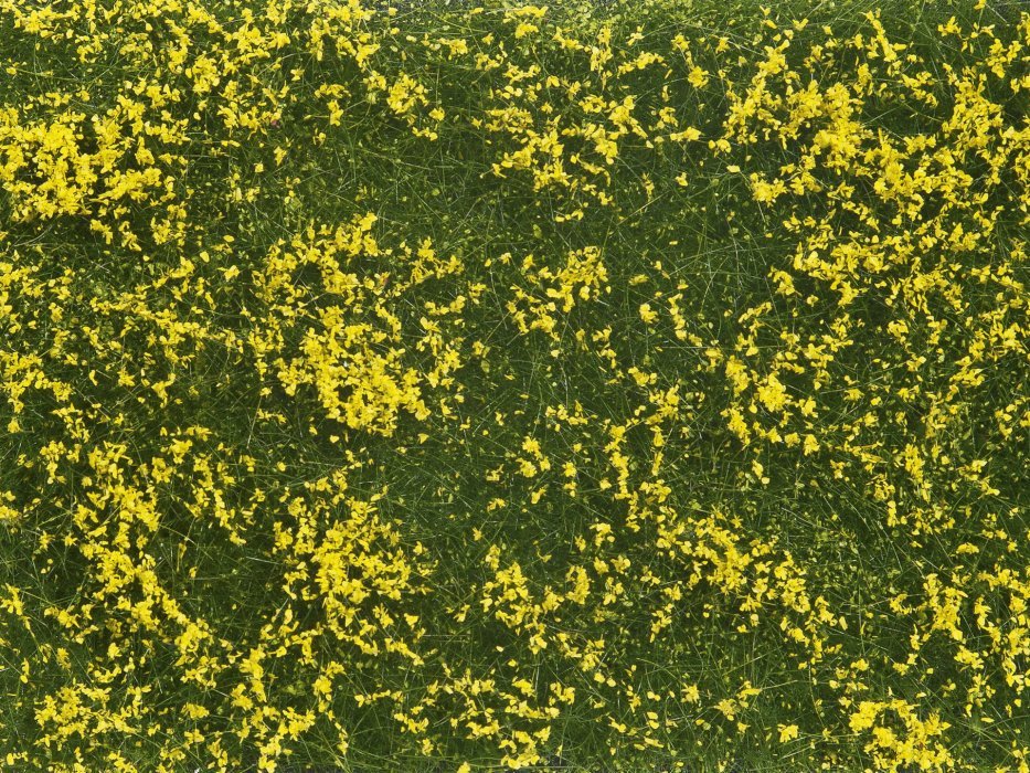 Groundcover Foliage meadow yellow, All Scales, NOCH 07255