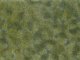 Groundcover Foliage, medium green, All Scales, NOCH 07250