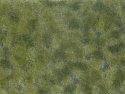 Groundcover Foliage, medium green, All Scales, NOCH 07250