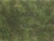 Groundcover Foliage olive green, All Scales, NOCH 07251