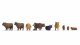 Highland Cattle, HO, NOCH 15728