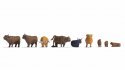 Highland Cattle, HO, NOCH 15728