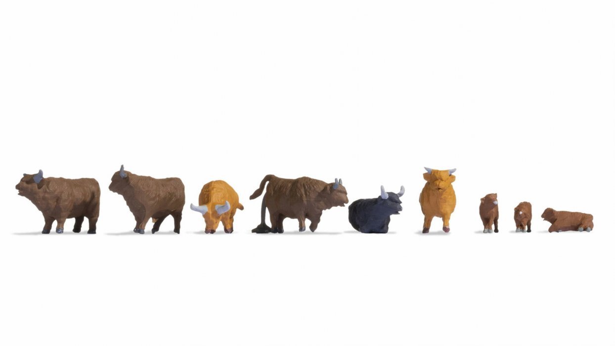 Highland Cattle, HO, NOCH 15728