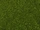 Leafy Foliage, All Scales, NOCH 07300