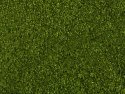 Leafy Foliage, All Scales, NOCH 07300