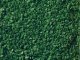 Leaves, All Scales, NOCH 07144