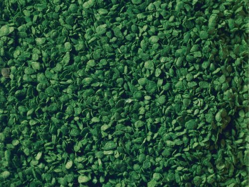 Leaves, All Scales, NOCH 07144