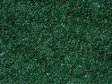 Leaves, All Scales, NOCH 07146