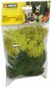 Lichen, All Scales, NOCH 08610