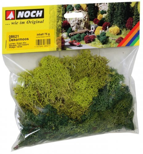 Lichen, All Scales, NOCH 08621