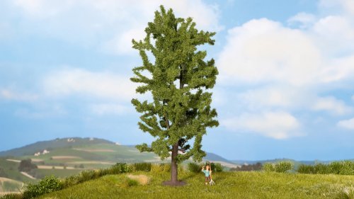 Lime Tree, All Scales, NOCH 25880