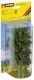 Lime Tree, All Scales, NOCH 25880