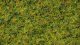 Master Grass Blend “Cow Pasture”, All Scales, NOCH 07073