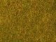 Meadow Foliage, All Scales, NOCH 07290