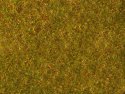 Meadow Foliage, All Scales, NOCH 07290