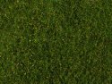 Meadow Foliage, All Scales, NOCH 07291