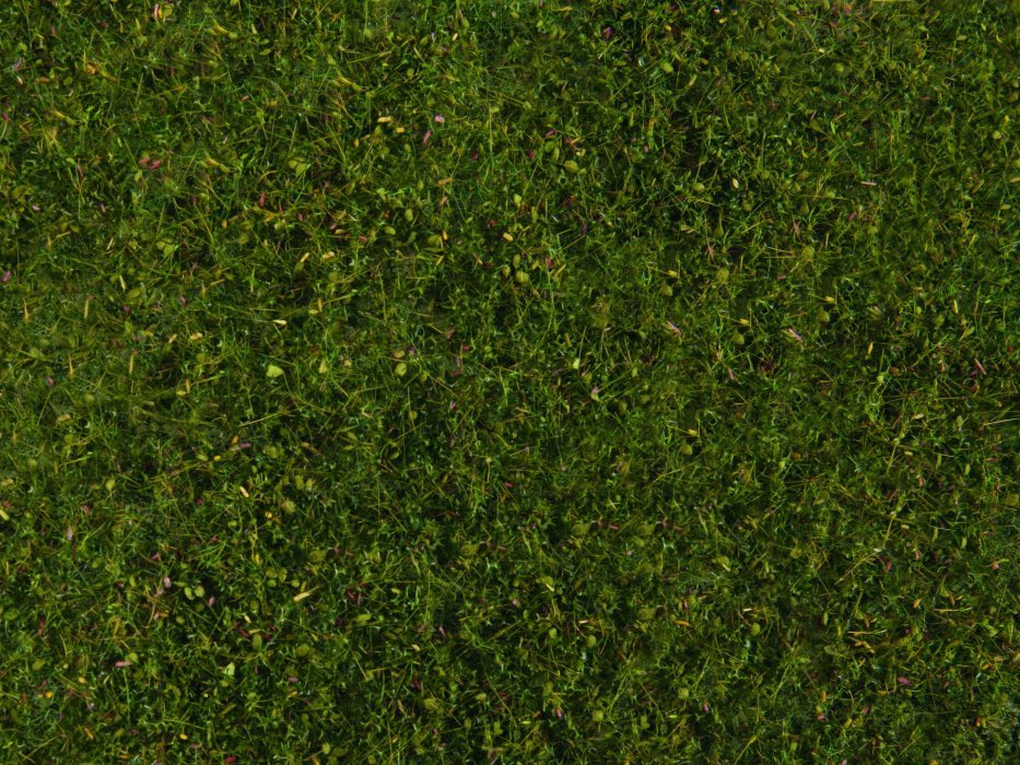 Meadow Foliage, All Scales, NOCH 07291
