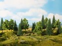 Mixed Forest, All Scales, NOCH 24621