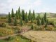 Model Fir Trees, All Scales, NOCH 26821