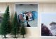 Model Fir Trees, All Scales, NOCH 26821