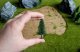 Model Fir Trees, All Scales, NOCH 26821
