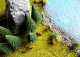 Model Fir Trees, All Scales, NOCH 32820