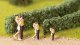 Model Hedges, All Scales, NOCH 21522