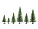 Model Spruce Trees, All Scales, NOCH 26825