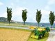 Natur+ “Cornfield”, All Scales, NOCH 07421