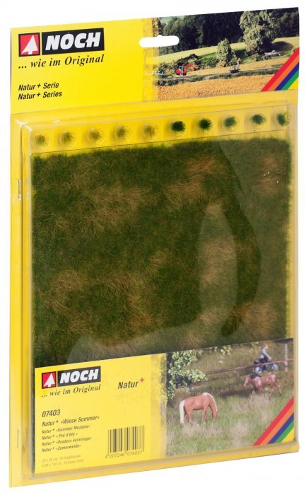 Natur+ “Summer Meadow”, All Scales, NOCH 07403