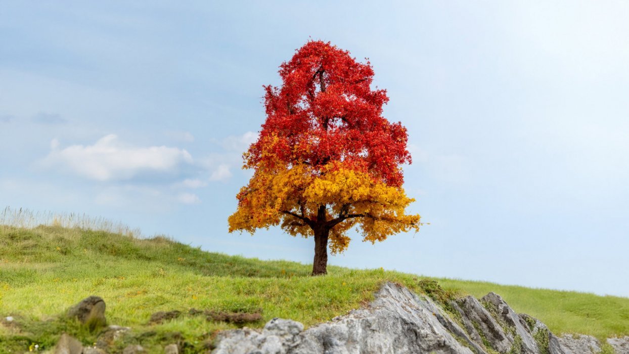 New Oak Tree, autumnal, All Scales, NOCH 20114