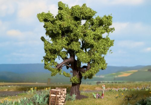 Oak, All Scales, NOCH 21760