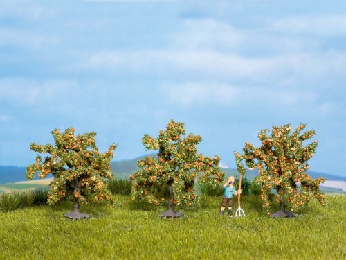 Orange Trees, All Scales, NOCH 25114