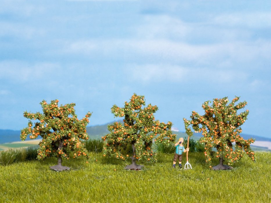 Orange Trees, All Scales, NOCH 25114