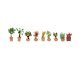 Ornamental Plants in Pots, N, NOCH 14082