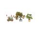 Ornamental Plants in Tubs, HO, NOCH 14020