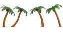 Palm Trees, All Scales, NOCH 21973