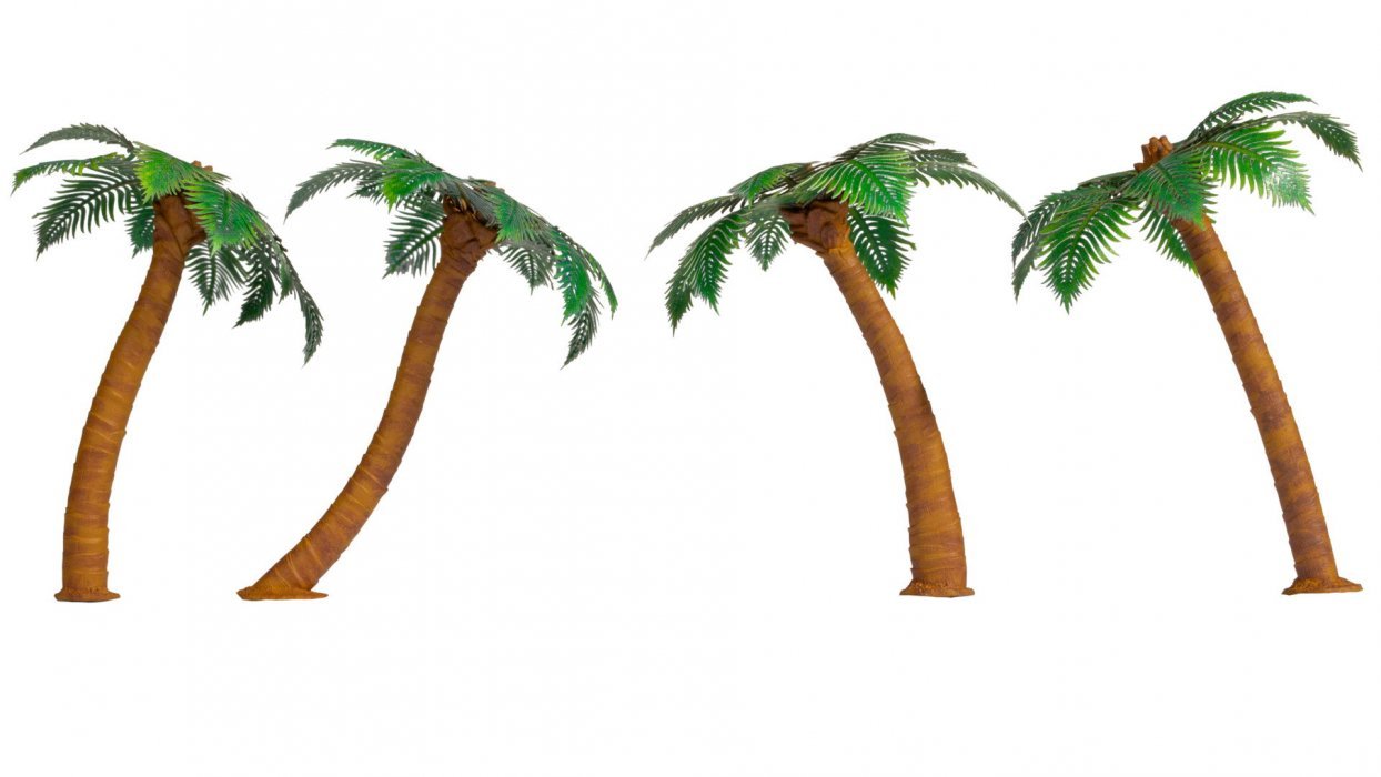 Palm Trees, All Scales, NOCH 21973