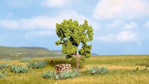 Pear Tree, All Scales, NOCH 21600