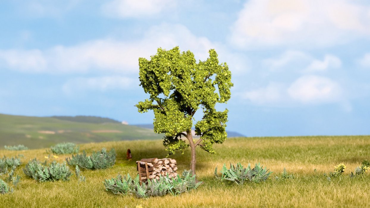 Pear Tree, All Scales, NOCH 21600