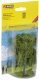 Pear Tree, All Scales, NOCH 21600