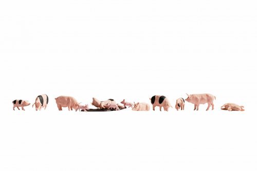 Pigs, HO, NOCH 15712