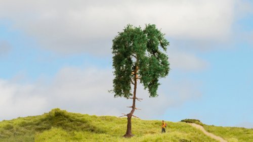 Pine Tree, All Scales, NOCH 20140
