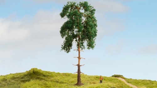Pine Tree, All Scales, NOCH 20141