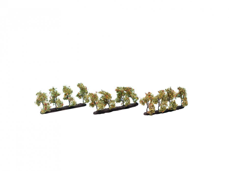 Plantation Trees with Apples, All Scales, NOCH 21537
