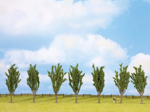 Poplars, All Scales, NOCH 25098
