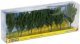 Poplars, All Scales, NOCH 25098