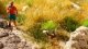PROFI Grass Tufts "Dry Grass", All Scales, NOCH 06910
